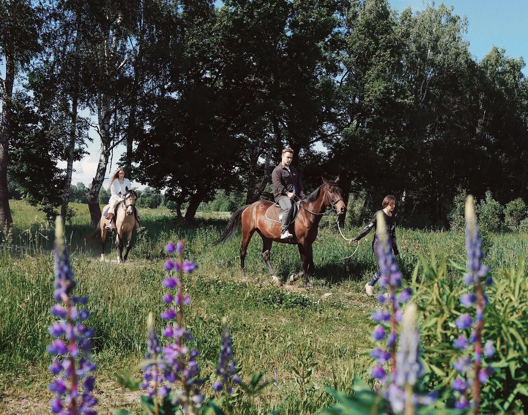 Экскурсия по конному клубу