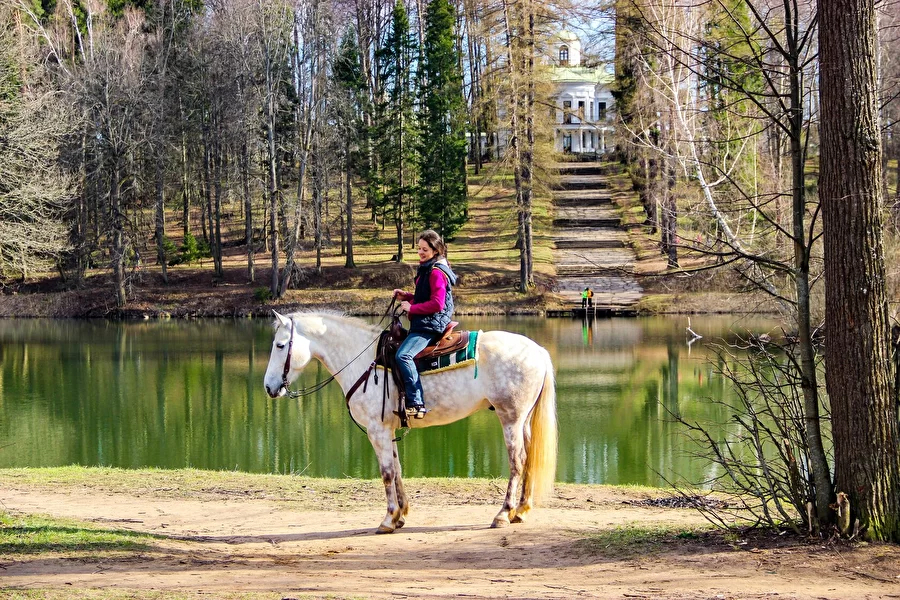 Активная прогулка
